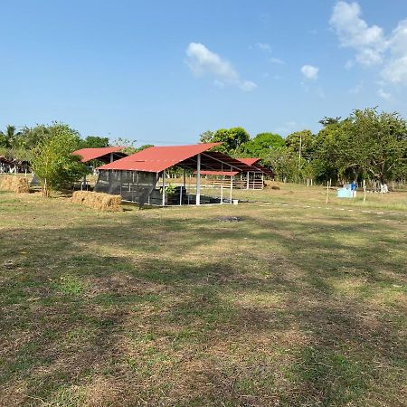 Hotel - Granja De Animales San Basilio De Palenque San Basilio del Palenque エクステリア 写真