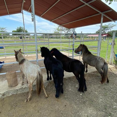 Hotel - Granja De Animales San Basilio De Palenque San Basilio del Palenque エクステリア 写真