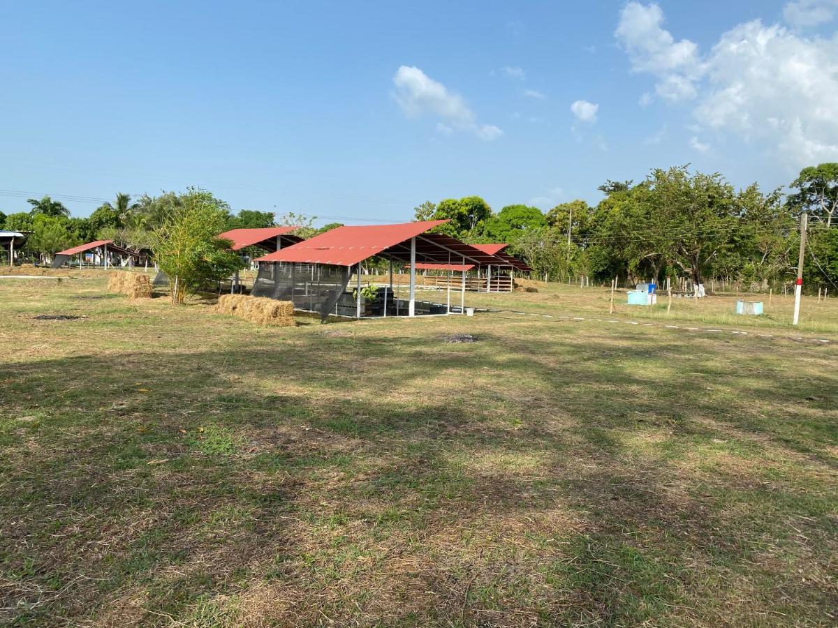 Hotel - Granja De Animales San Basilio De Palenque San Basilio del Palenque エクステリア 写真
