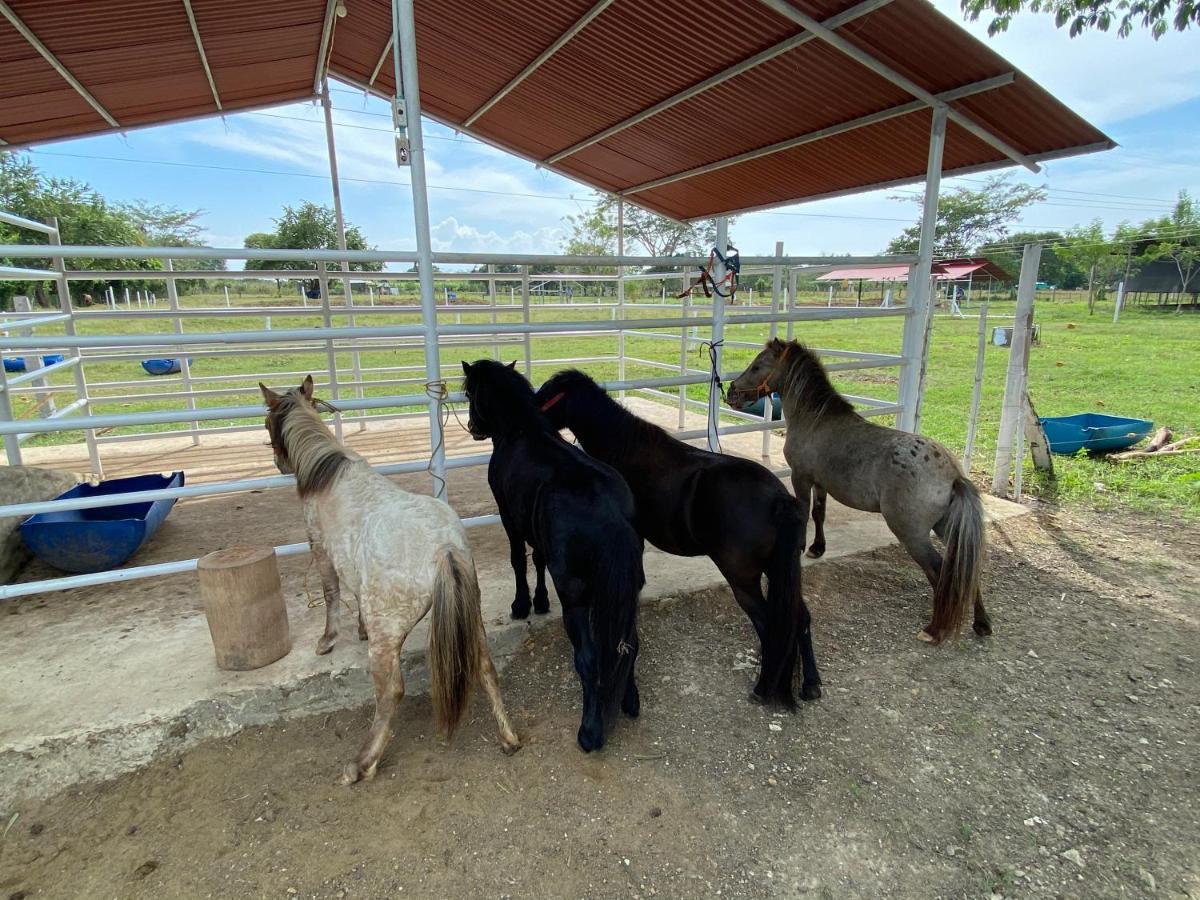 Hotel - Granja De Animales San Basilio De Palenque San Basilio del Palenque エクステリア 写真