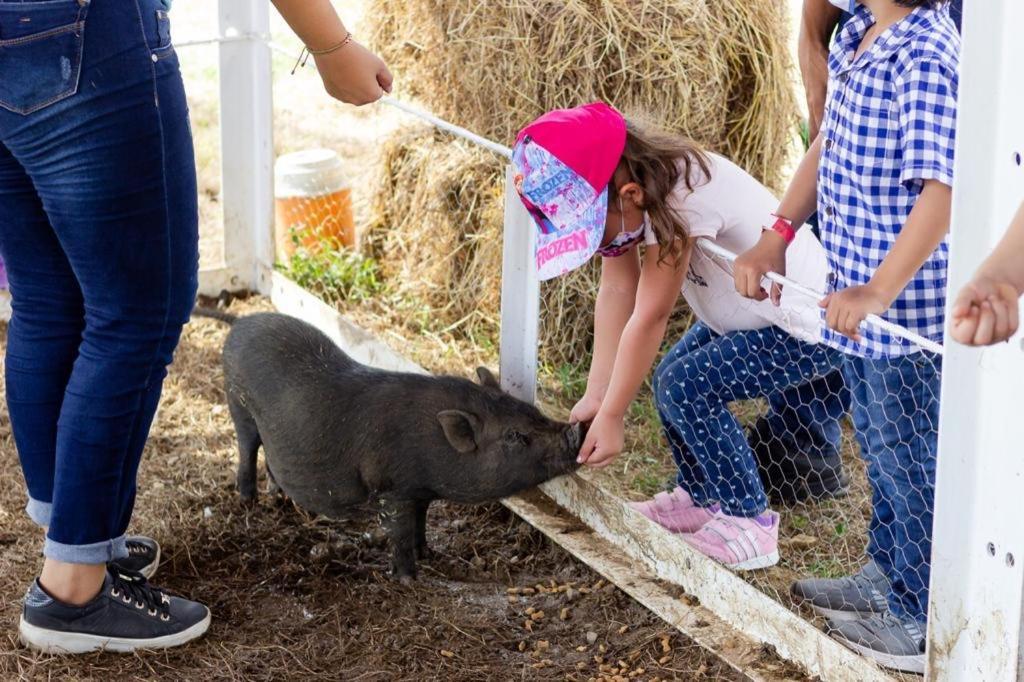 Hotel - Granja De Animales San Basilio De Palenque San Basilio del Palenque エクステリア 写真